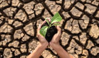 boy-are-stand-holding-seedlings-are-dry-land-warming-world