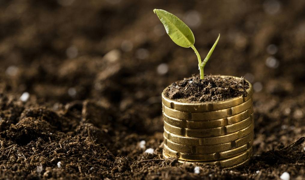 coins-stacked-dirt-with-plant-copy-space
