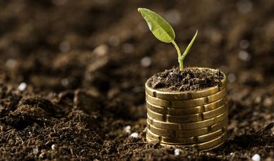 coins-stacked-dirt-with-plant-copy-space