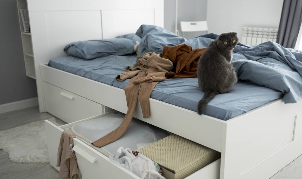 cute-cat-clothes-bed-high-angle