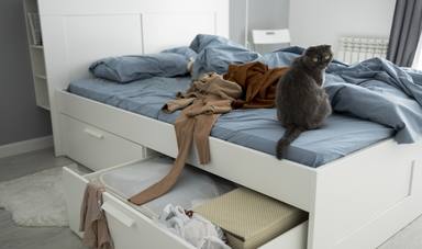 cute-cat-clothes-bed-high-angle