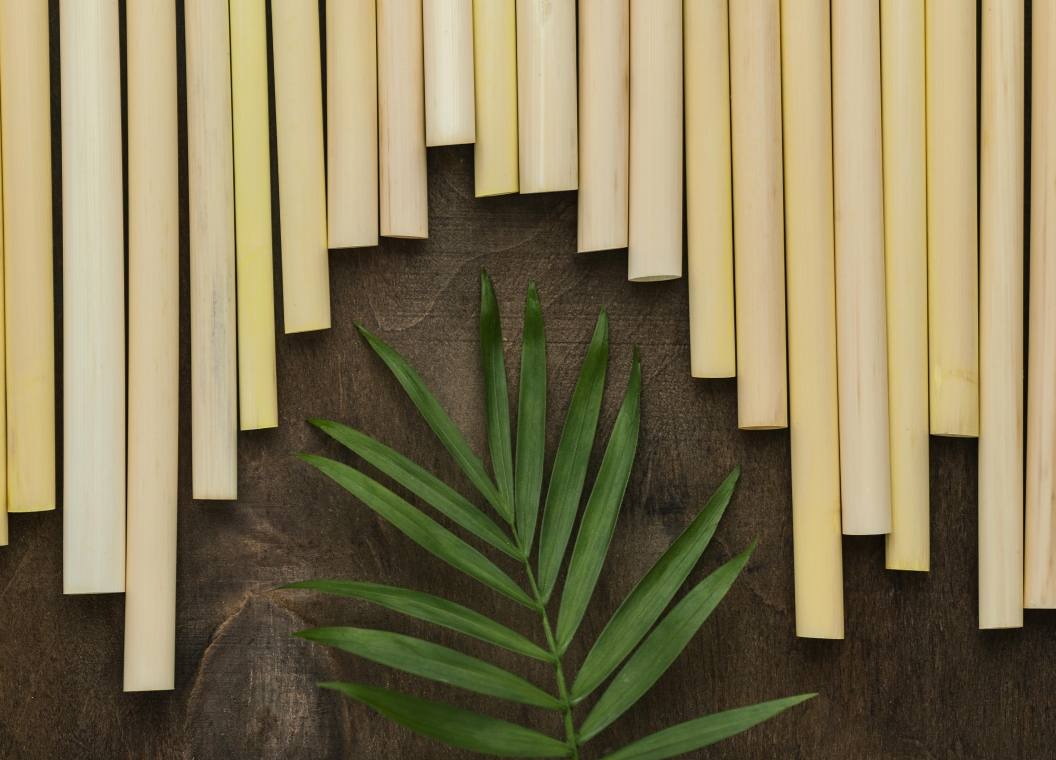 eco-friendly-environment-bamboo-tube-straws-background