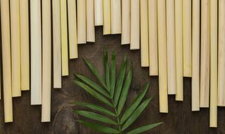 eco-friendly-environment-bamboo-tube-straws-background