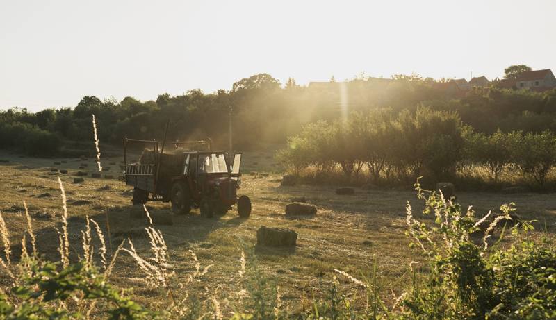 old-red-tractor-collecting-haystacks-from-field