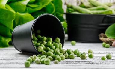 scattered-peas-from-bucket-with-asparagus-bok-choy-lettuce-green-pods-side-view-wooden-wall