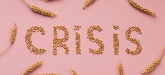 top-view-food-crisis-concept-with-wheat-1028x569