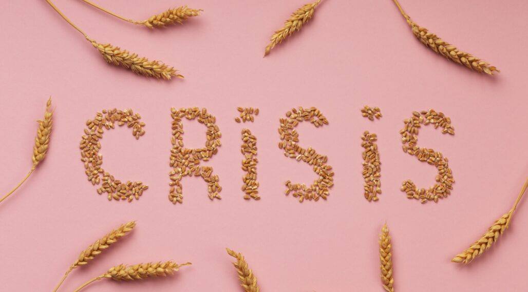 top-view-food-crisis-concept-with-wheat-1028x569