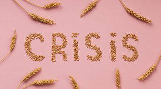 top-view-food-crisis-concept-with-wheat-1028x569