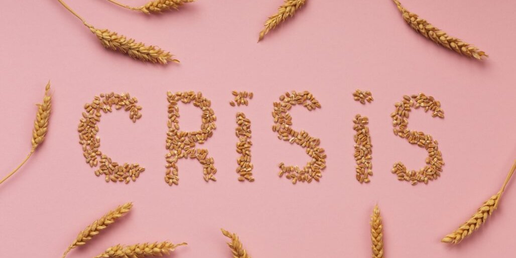top-view-food-crisis-concept-with-wheat-1028x569