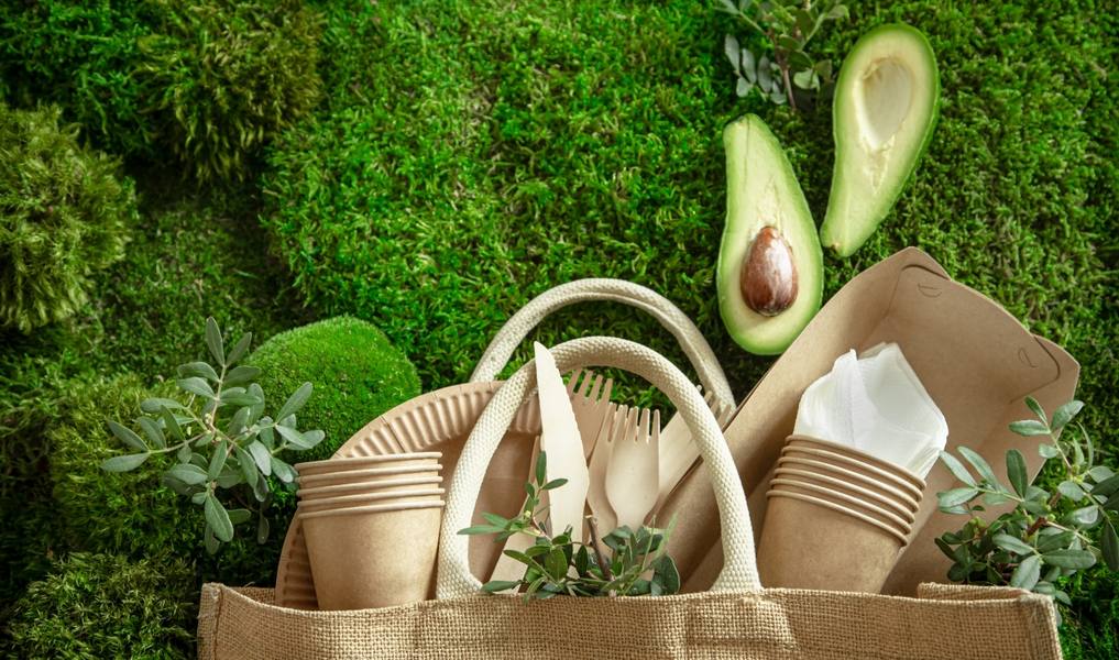 wp-160c81a858903c13-environmentally-friendly-disposable-recyclable-tableware-paper-food-boxes-plates