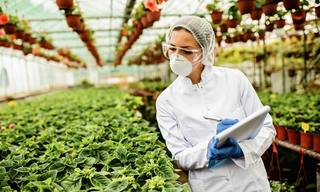 wp-4e4a13b921b4a415-female-scientist-writing-report-quality-control-inspection-plant-nursery