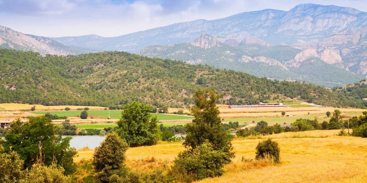 wp-5168042f854ab025-farms-fields-lleida