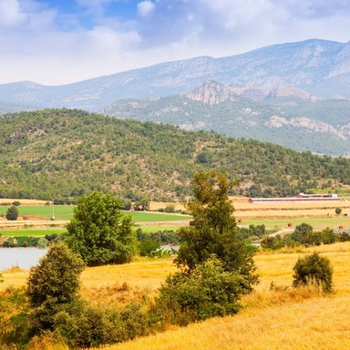 wp-5168042f854ab025-farms-fields-lleida