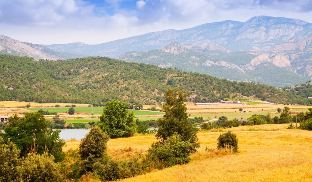 wp-5168042f854ab025-farms-fields-lleida