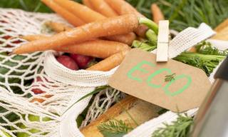 wp-6ec924eeeeea3632-close-up-reusable-bag-with-groceries-grass