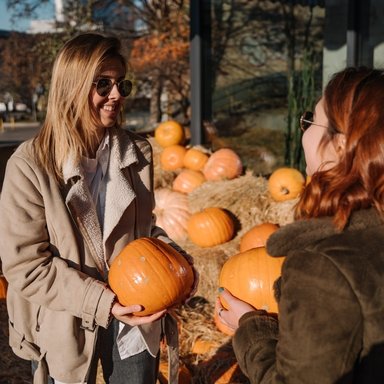 wp-7bef7a7c52d4a4c9-girls-holds-pumpkins-hands