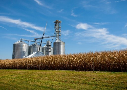 wp-965c856ee5ba4bf4-pexels-nc-farm-bureau-mark-2714630
