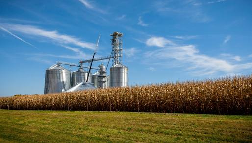 wp-965c856ee5ba4bf4-pexels-nc-farm-bureau-mark-2714630