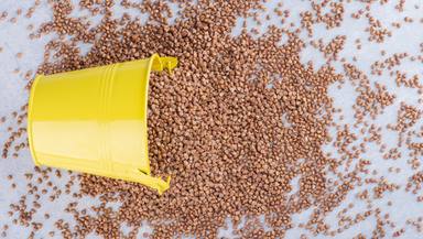 yellow-bucket-lodged-pile-scattered-buckwheat-marble-surface